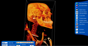Biology BodyViz system used in anatomy