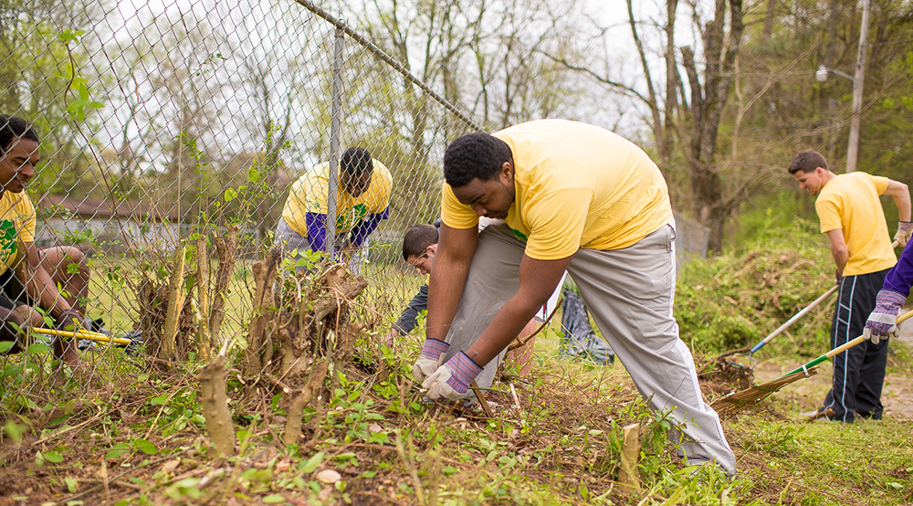 Spring Tiger Serve Day involves 800 volunteers completing 110 projects.