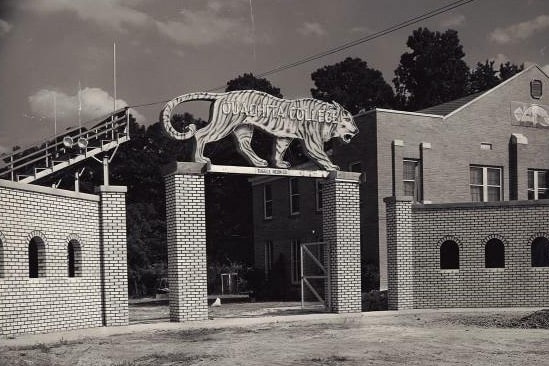 Student Center Tiger