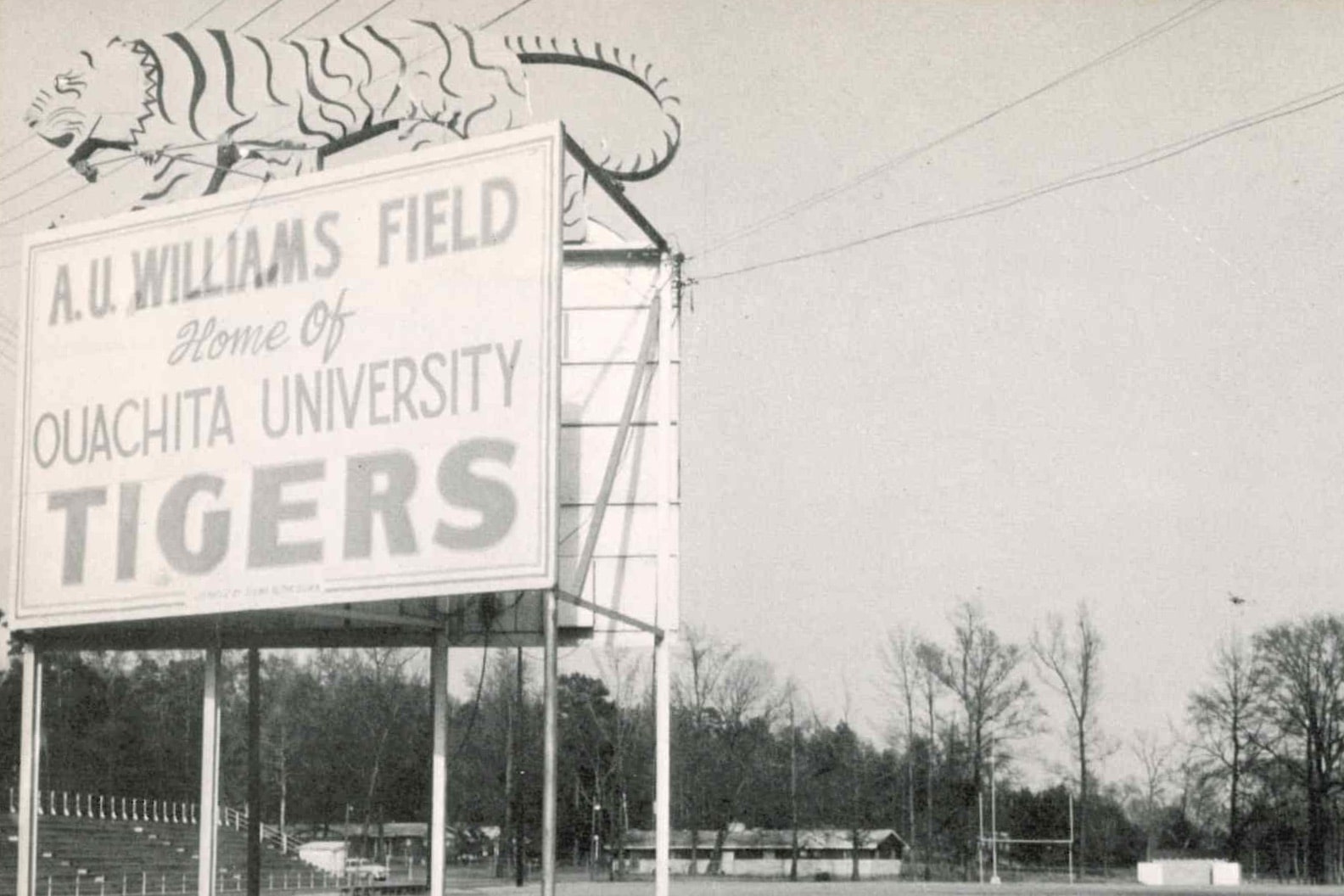 Student Center Tiger