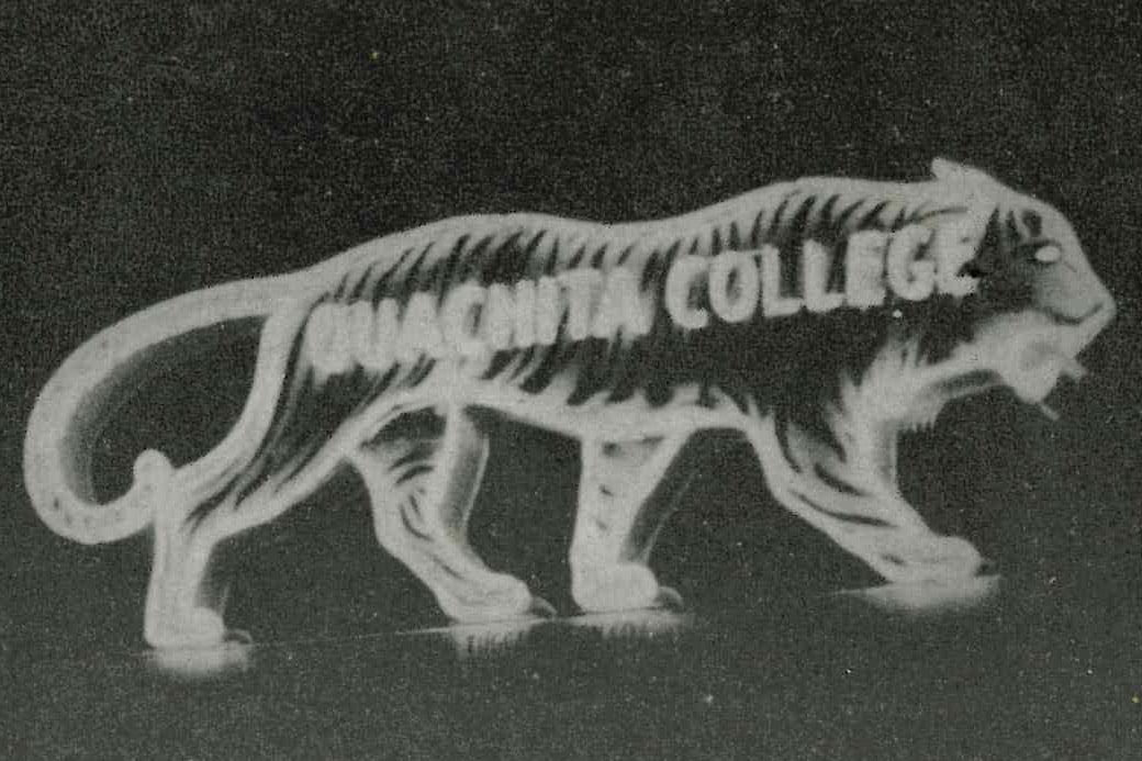 Student Center Tiger