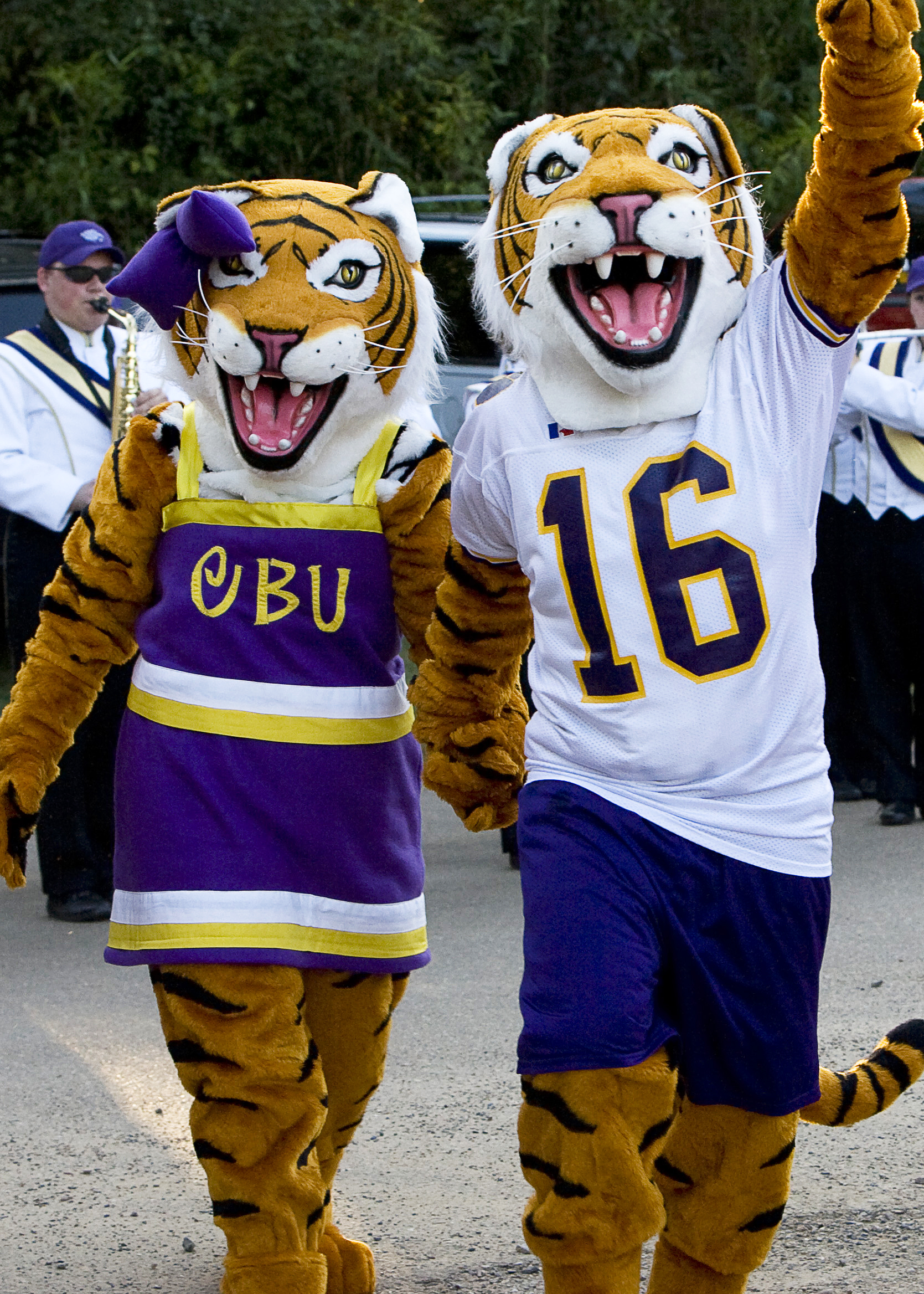 Tigers mascot Paws visits with North Branch students - The County Press