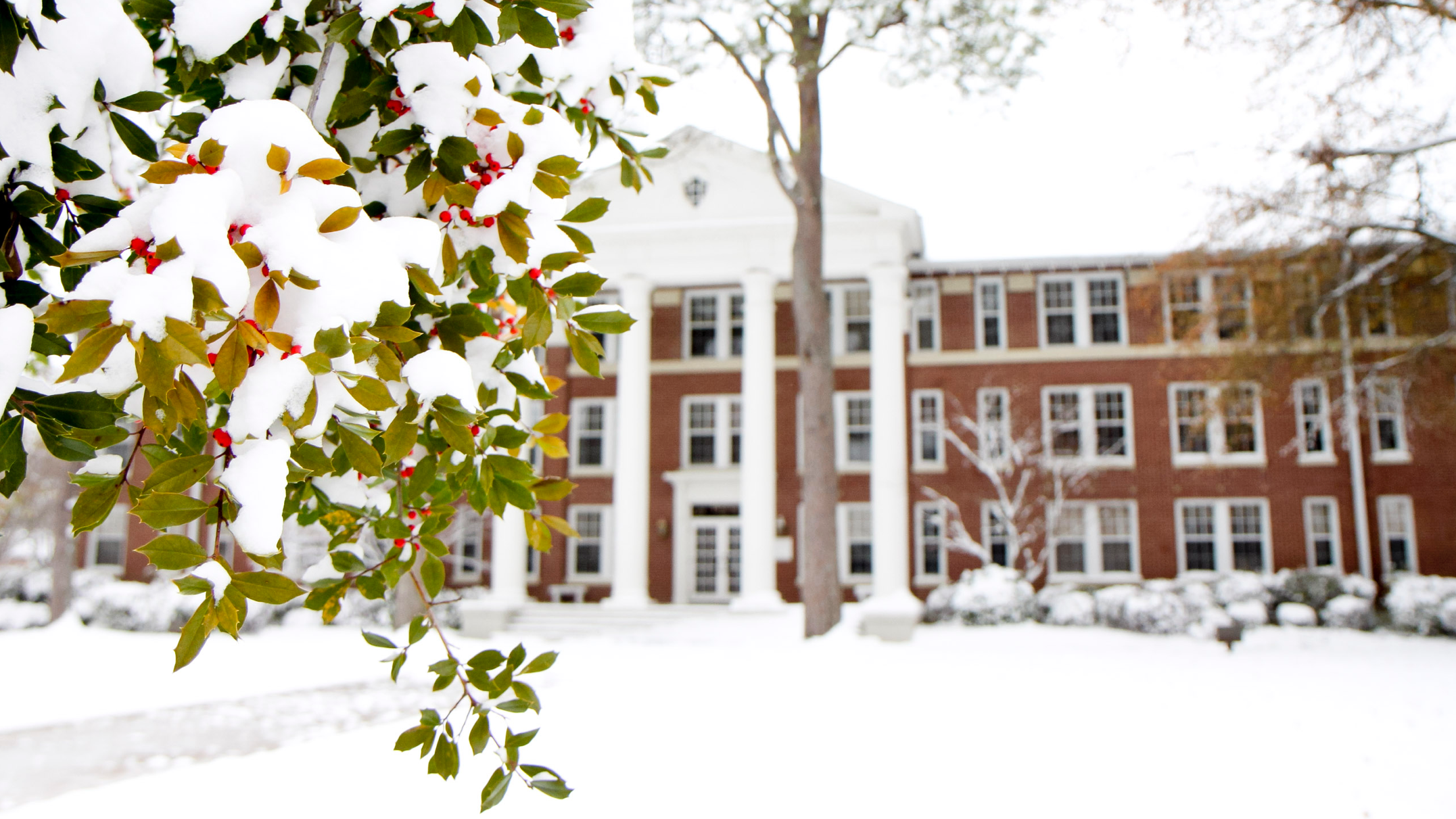 Snowfall on Cone-Bottoms lawn