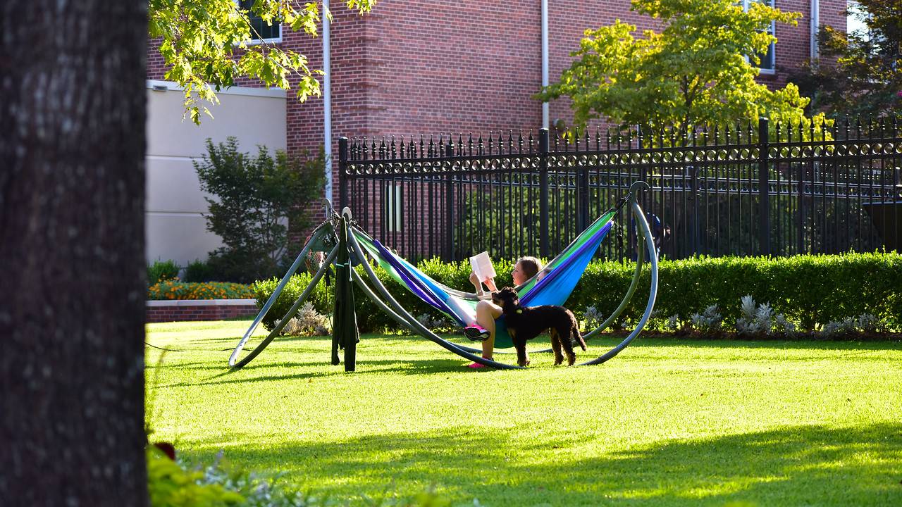 Students studying in hammocks