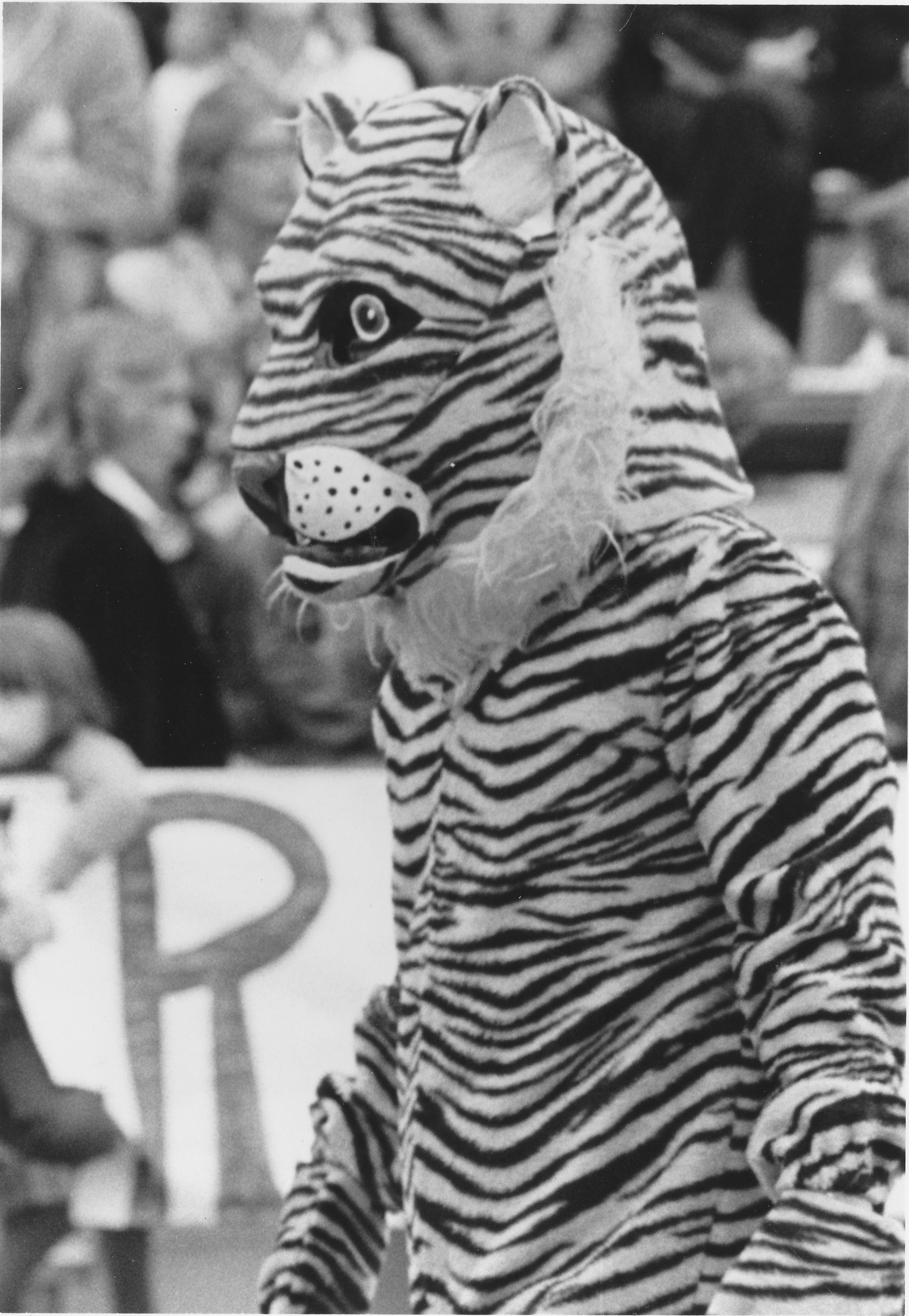 Old tiger mascot